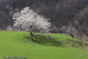 BHD_9948