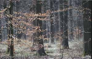 S14_8x14b