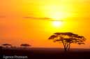 BL3A02_tanzanie_diaph_30_chaud