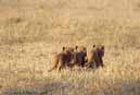 BL3A16_tanzanie