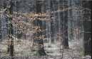 S14_8x14b